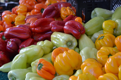 multi-peppers_6-29.jpg