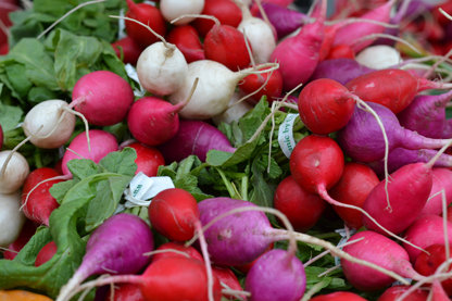 radishes_4-21.jpg