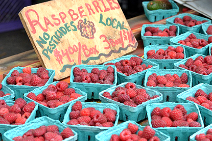raspberries_6-9.jpg