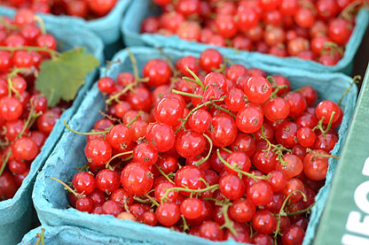 red-currants_6-23.jpg