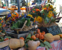 Thumbnail image for November at the Santa Barbara Farmers Market
